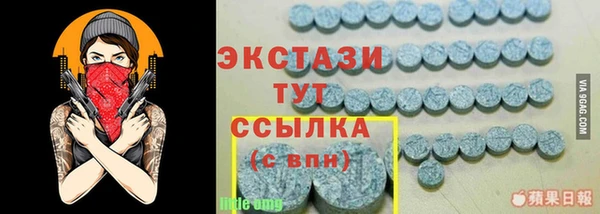 стаф Алзамай