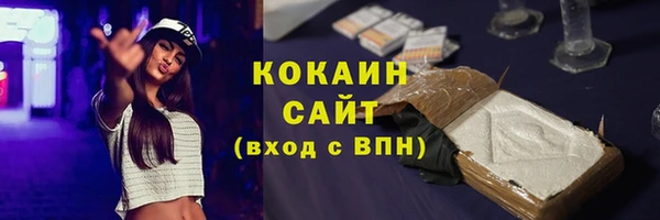 стаф Алзамай