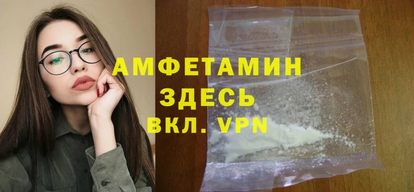 стаф Алзамай