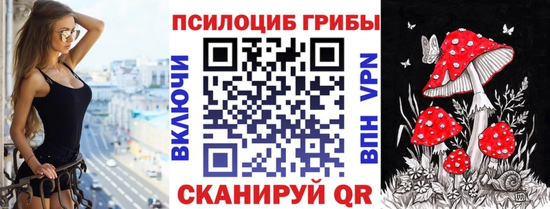 Галлюциногенные грибы мицелий  купить  цена  Алексин 